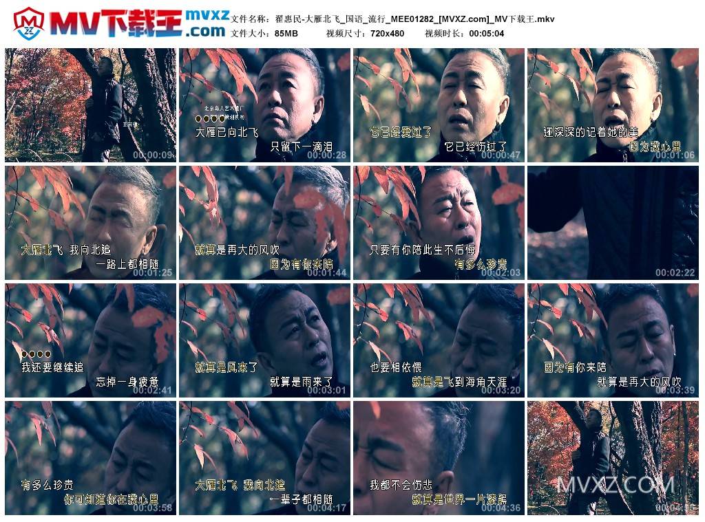 翟惠民-大雁北飞_国语_流行_MEE01282